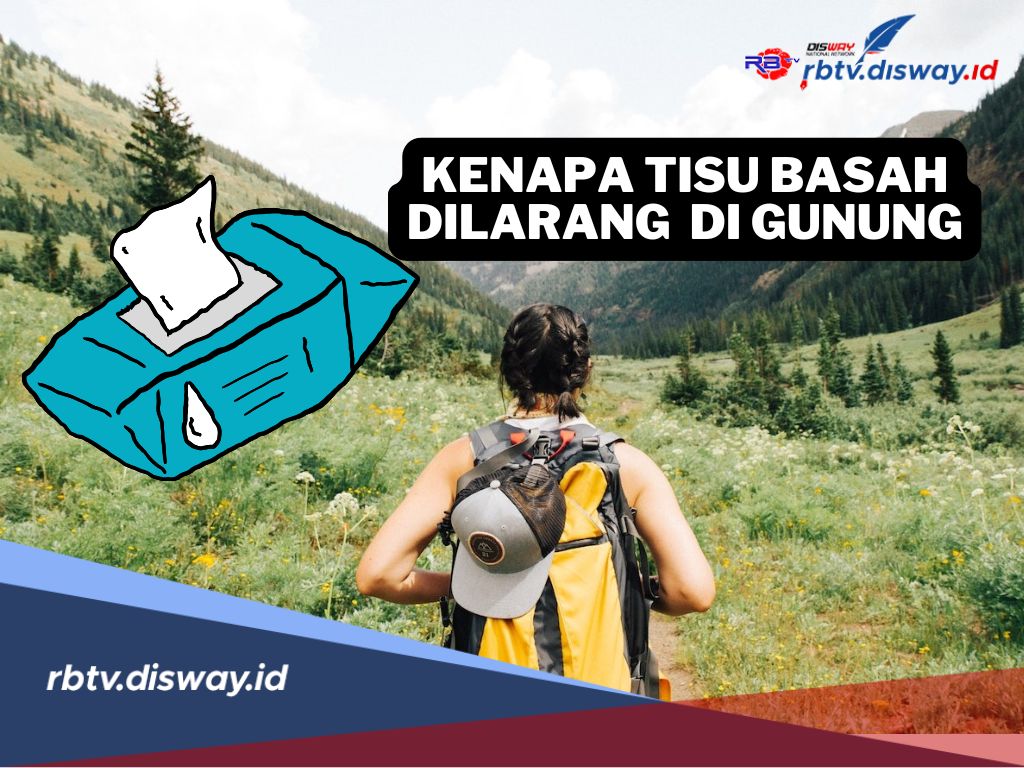 Kenapa Tisu Basah Dilarang Dibawa saat Mendaki Gunung? Rupanya Ini Alasannya