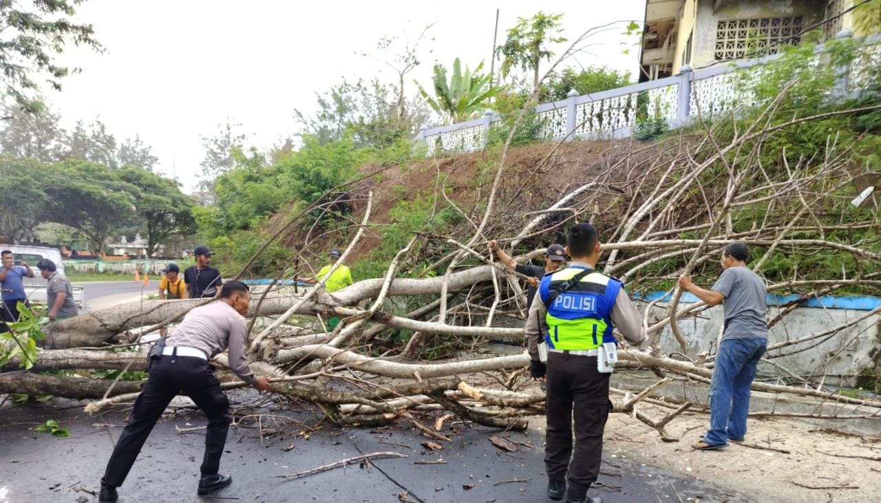 Hujan Angin, Pohon Kedondong Lanang di Simpang Taman Berkas Roboh