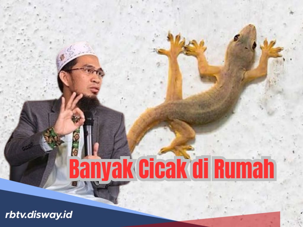 Banyak Cicak di Rumah Bunuh atau Biarkan? Ini Pesan Ustadz Adi Hidayat