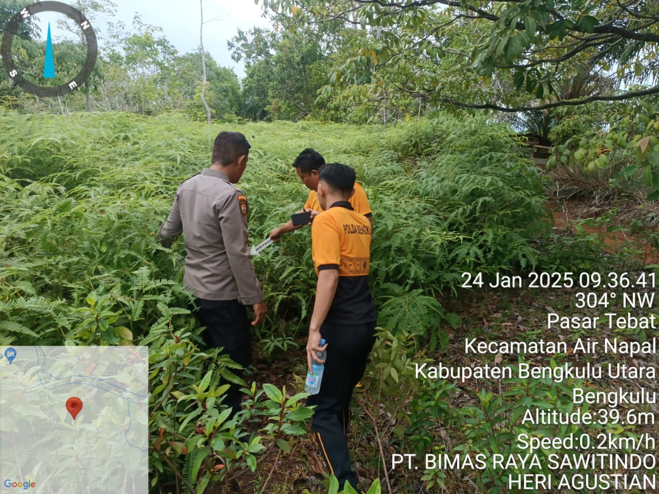 Kata Polisi Pasca Penembakan Satpam Perkebunan Kelapa Sawit di Bengkulu Utara