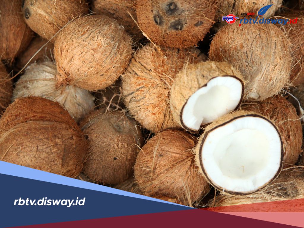 Harga Kelapa Makin Mahal, Menteri Perdagangan Beberkan Penyebabnya