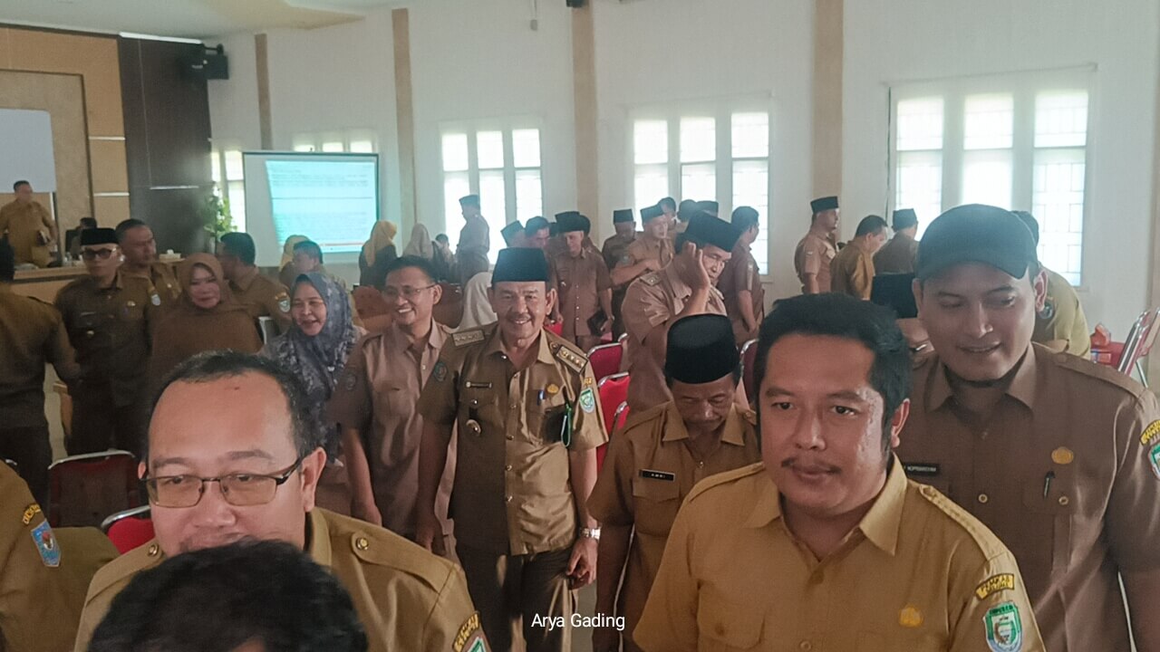 1.900 Honorer Seluma Dirumahkan tapi 3 Jenis Honorer Berikut Bisa Diangkat Kembali