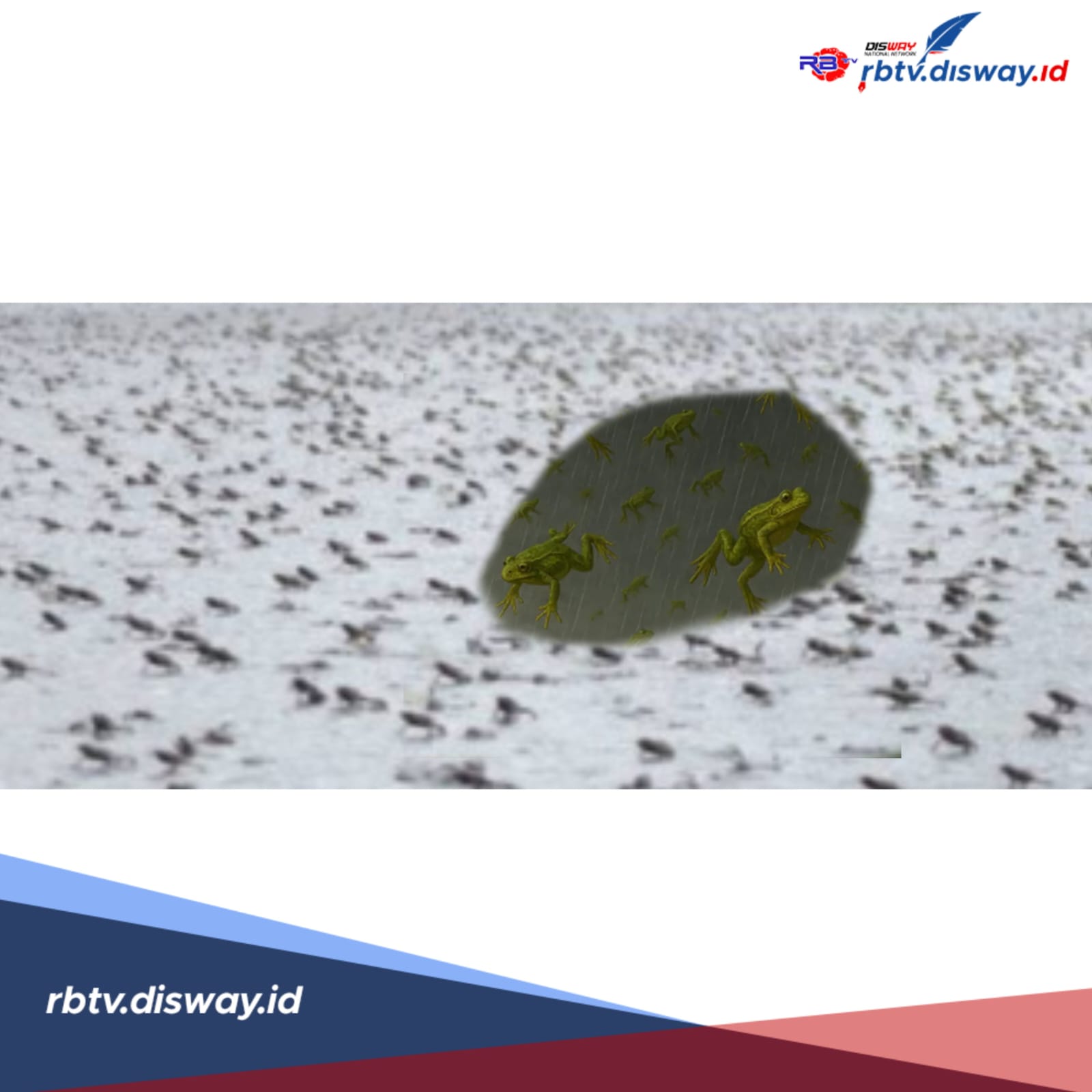 Langit Menyulam Keajaiban, Fenomena Hujan Katak di Serbia yang Bikin Gempar