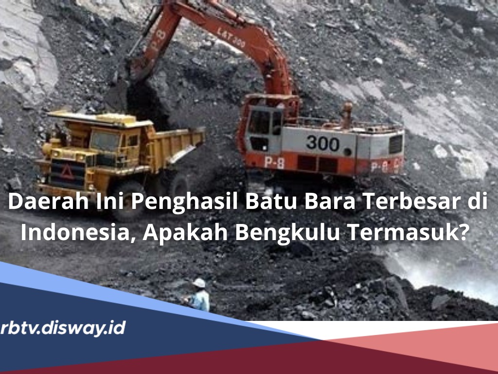 Bukan hanya Aceh dan Papua, Ini 3 Daerah Penghasil Harta Karun Batu Bara Terbesar di Bengkulu
