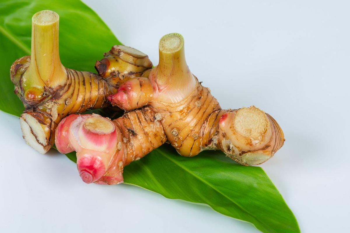 Bukan Cuma Jadi Bumbu Masakan, Ini Manfaat Lengkuas untuk Kesehatan 