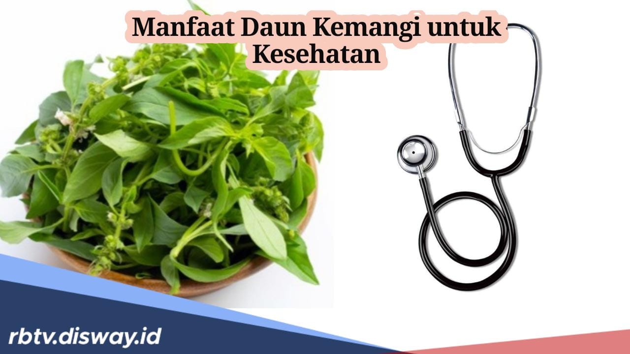 Kamu Suka Makan Daun Kemangi? Beruntung, Ini Manfaat Daun Kemangi untuk Kesehatan 