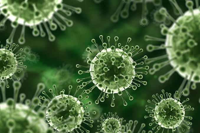 Apa Itu Virus Nipah? Berikut Kenali Gejala dan Cara Pencegahanya