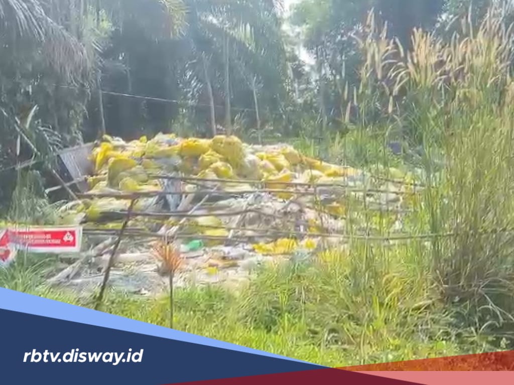 Cemari Lingkungan Kota Bengkulu, Perusahaan Pengelola Limbah Medis Dilaporkan ke KemenLHK dan Polisi