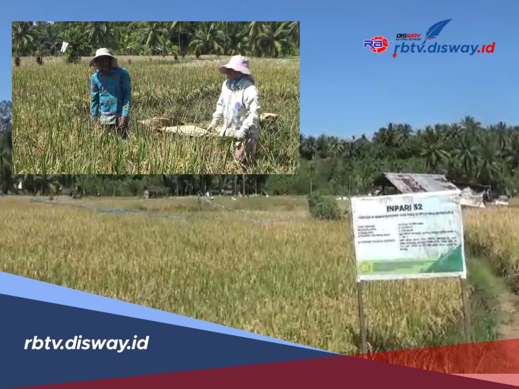 Alokasikan Rp 1,7 M untuk Perbaikan Bendungan dan Irigasi, Pemkab Bengkulu Tengah Prioritaskan Areal Ini