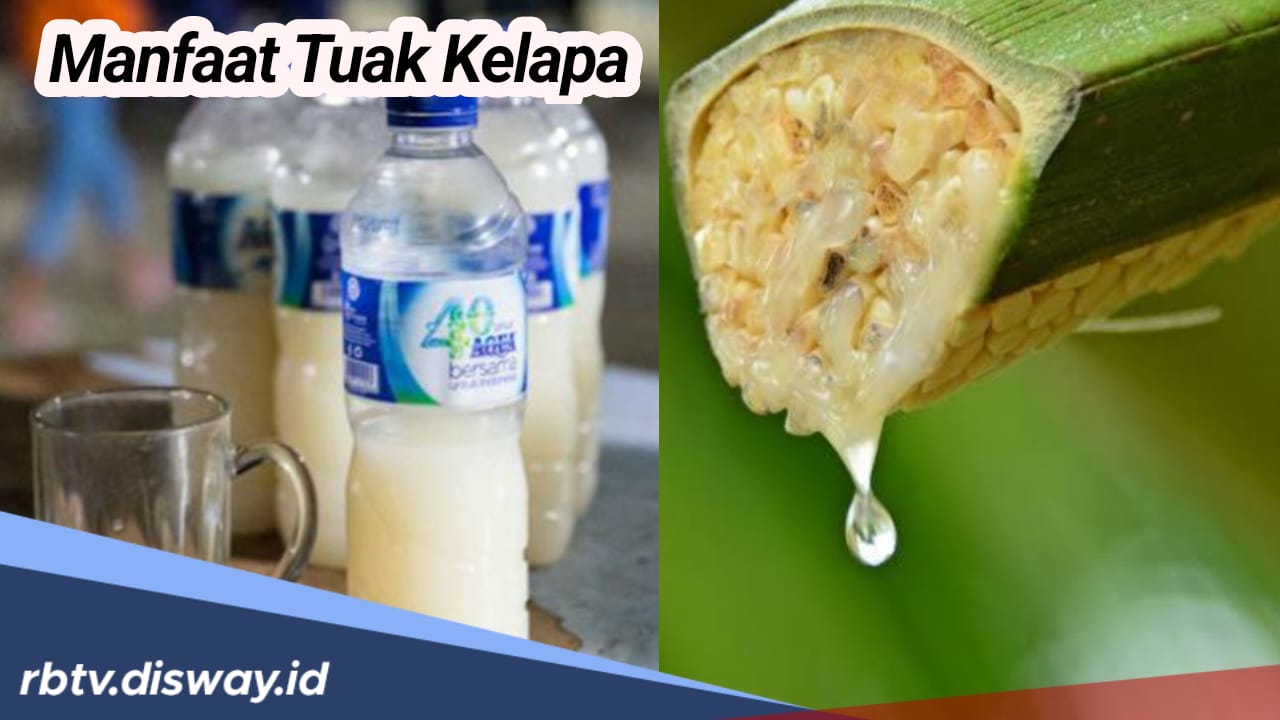 Mengenal 4 Manfaat Tuak Kelapa untuk Kesehatan, Begini Proses Pembuatannya