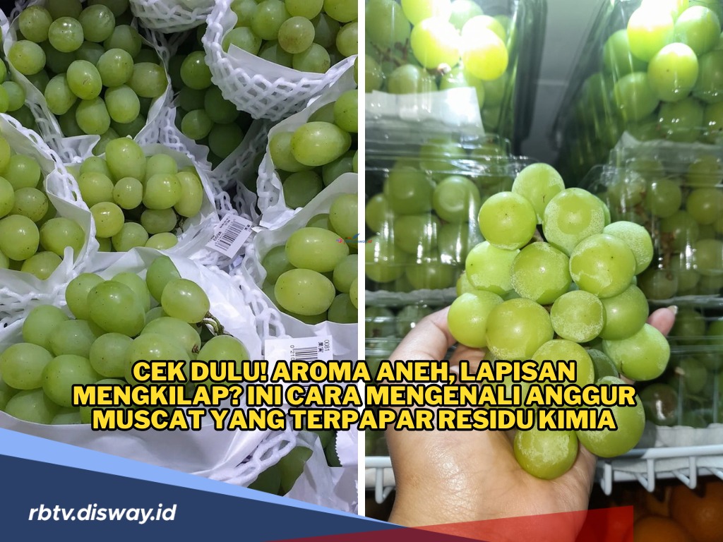  10 Cara Mengenali Anggur Muscat yang Terpapar Residu Kimia Melebihi Ambang Batas