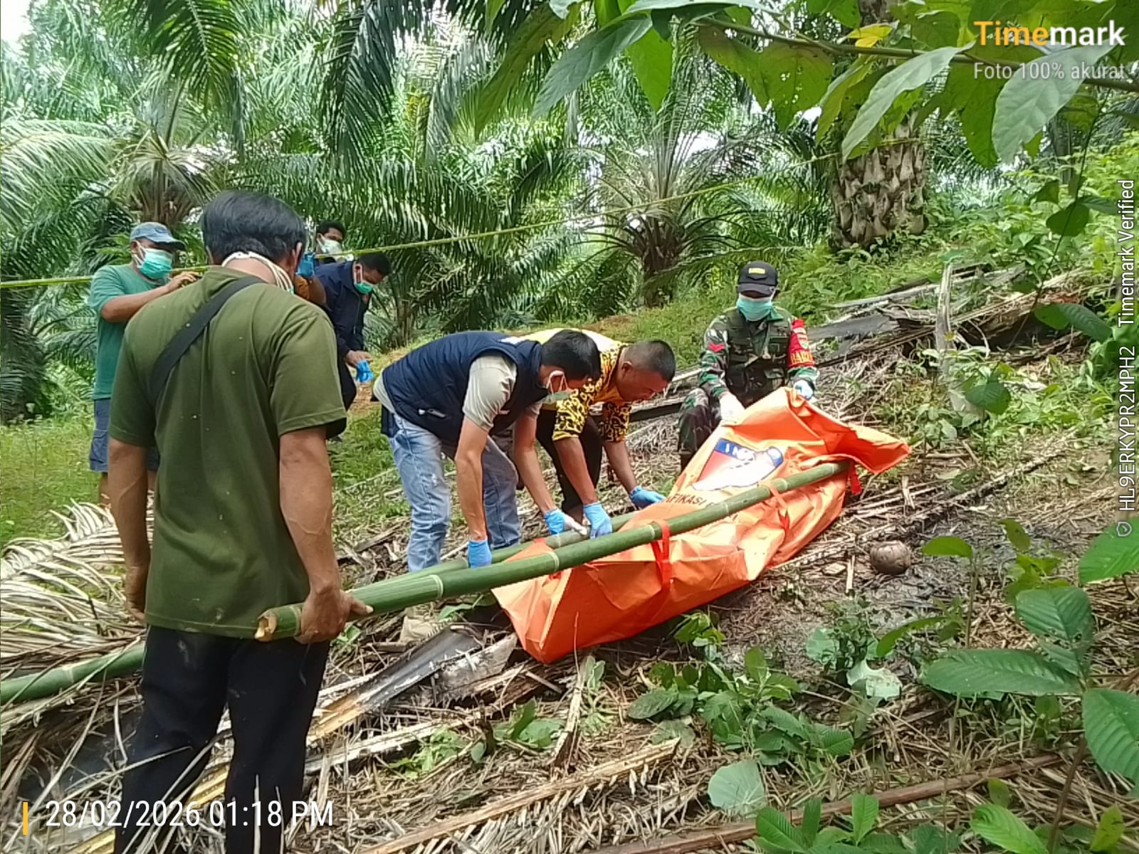 5 Hari Tidak Pulang ke Rumah, Warga Kaur Ditemukan Sudah Menjadi Mayat di Kebun Sawit