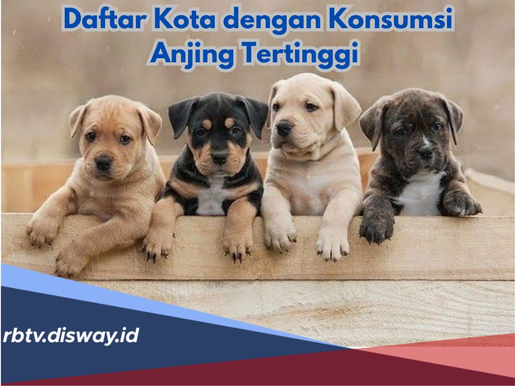 Ternyata, Ini 3 Daftar Kota dengan Konsumsi Anjing Tertinggi di Indonesia, Ada Wilayahmu?