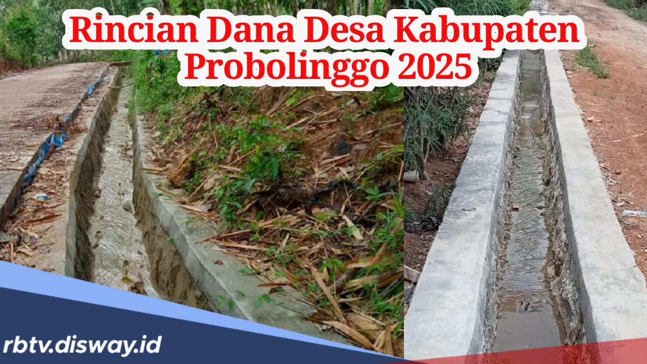 Dana Desa Kabupaten Probolinggo 2025, Cek Desa Mana yang Terkecil