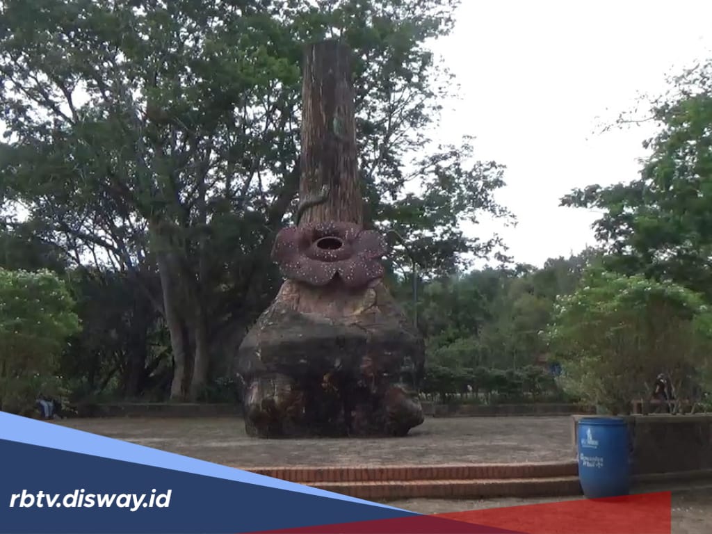 Keterbatasan Anggaran Jadi Alasan, Pemkab Benteng Serahkan Pengelolaan Tahura Rajolelo ke Gubernur Bengkulu