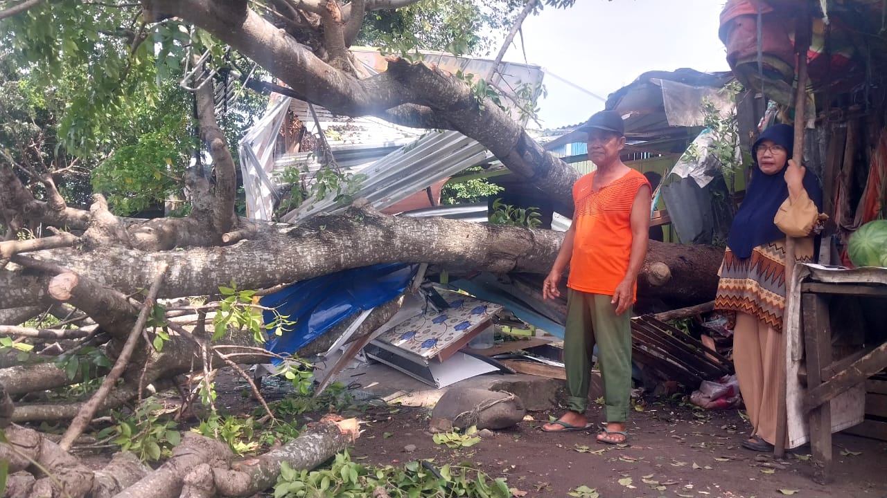 Baru 2 Minggu Jualan, Warung Mie Ayam di Sawah Lebar Ditimpa Pohon  