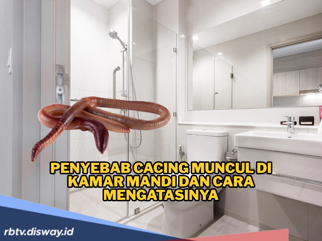 Penyebab Cacing Muncul di Kamar Mandi dan Cara Mengatasinya