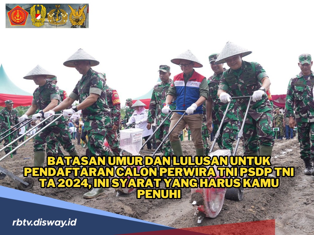 Batasan Umur dan Lulusan untuk Pendaftar Calon Perwira TNI PSDP TA 2024, Ini Syarat yang Harus Dipenuhi