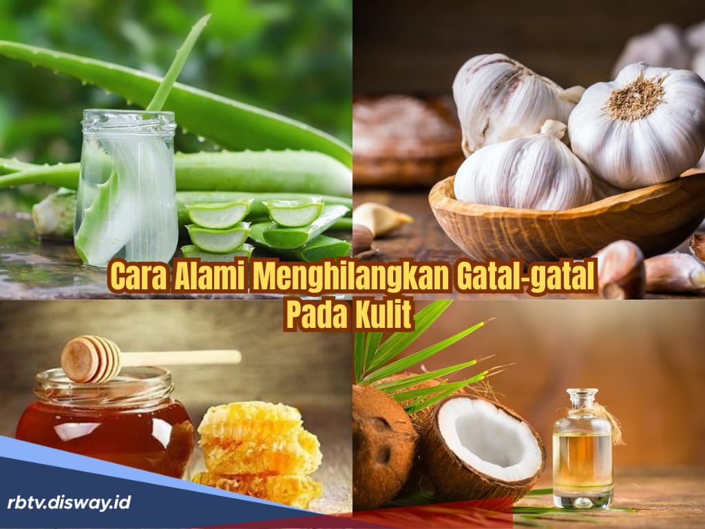 6 Bahan Alami untuk Menghilangkan Gatal-gatal di Badan Karena Penyakit Kulit