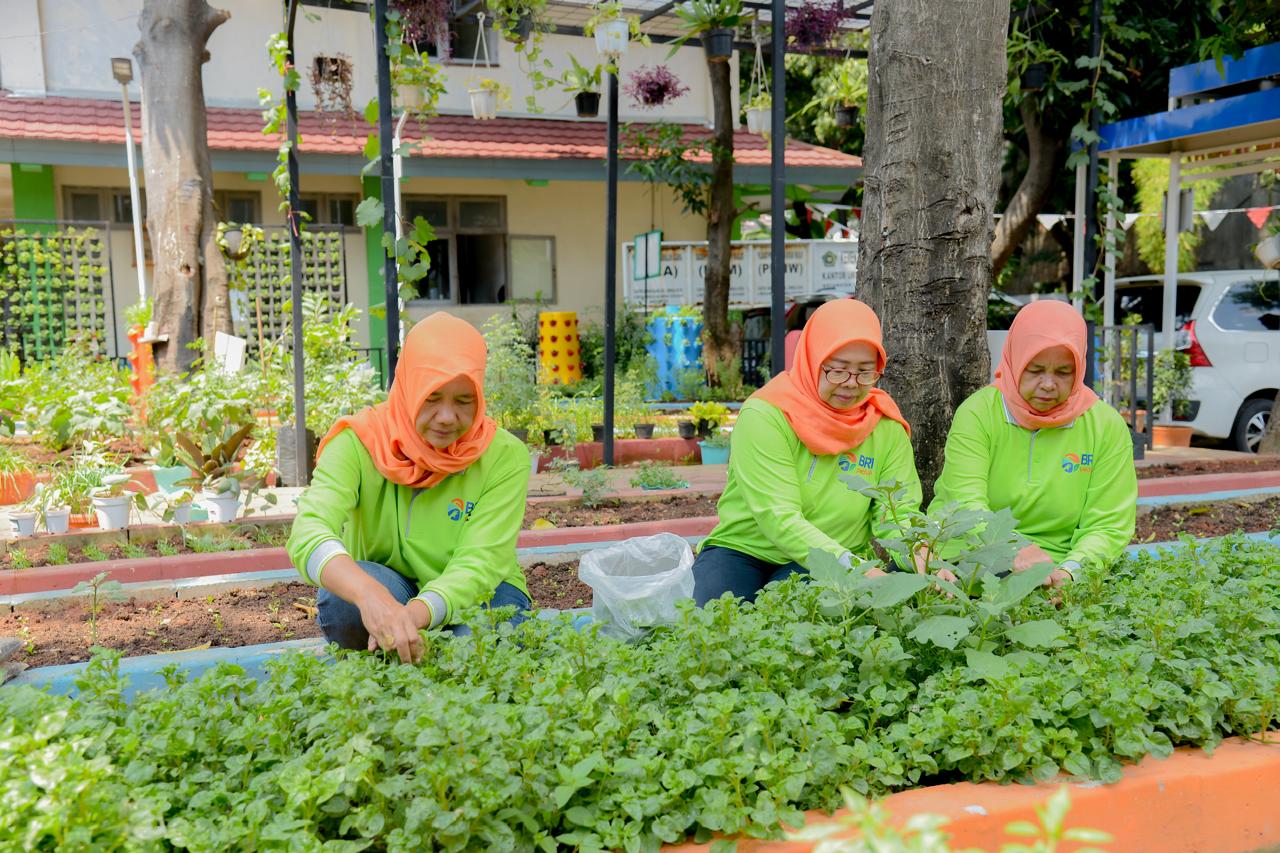 Program BRINita, Sukses Sulap Lahan Terbengkalai Jadi Urban Farming Produktif