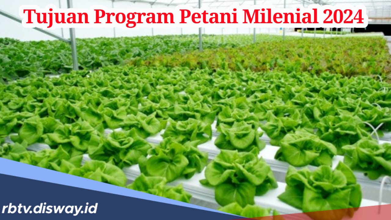 Terungkap! Ini Tujuan Utama Program Petani Milenial 2024 dari Kementan