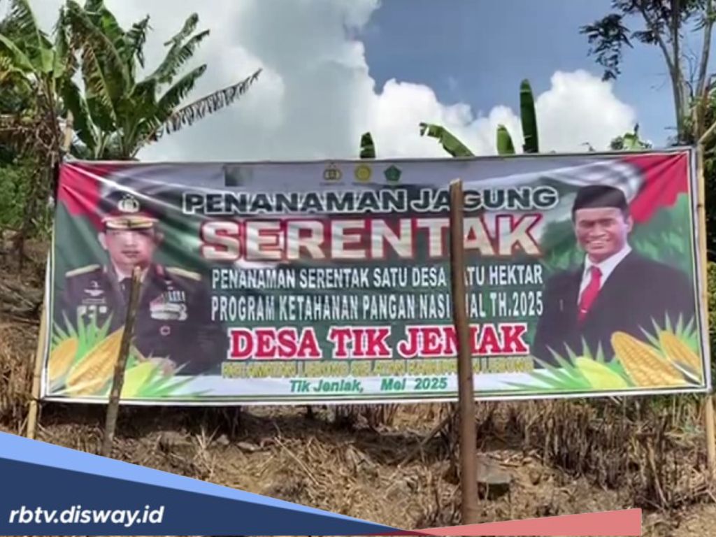 1 Juta Hektare Jagung Dukung Swasembada Pangan 2025