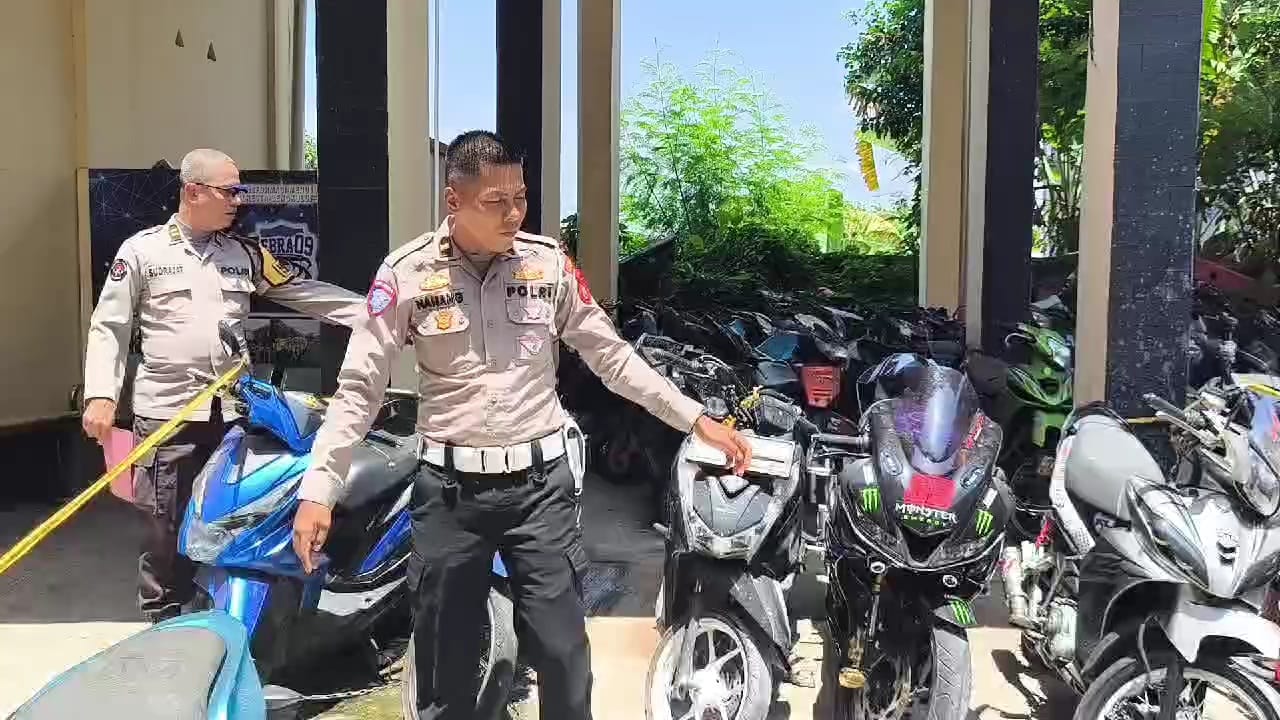 Ops Zebra Nala 2024, Presentase Pelanggaran di Kota Bengkulu Turun Drastis 