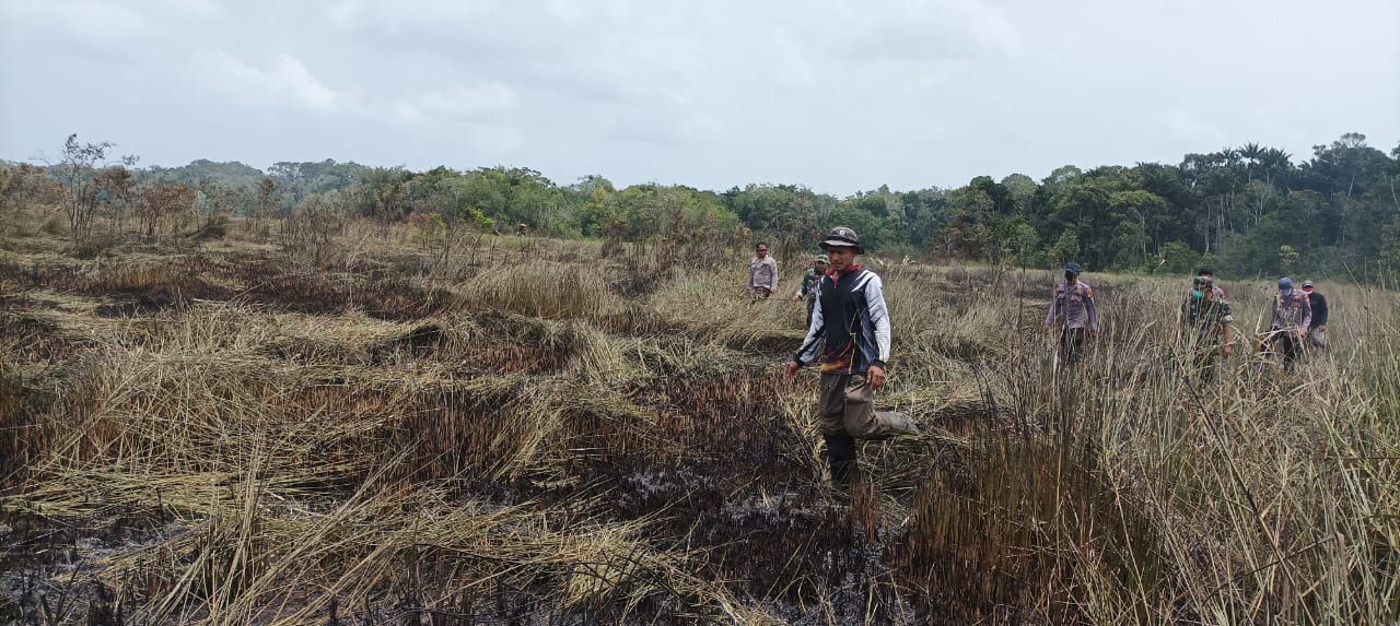 Rawa Gambut 200 Hektare di Pulau Enggano Terbakar, Proses Pemadaman Terhambat Peralatan 