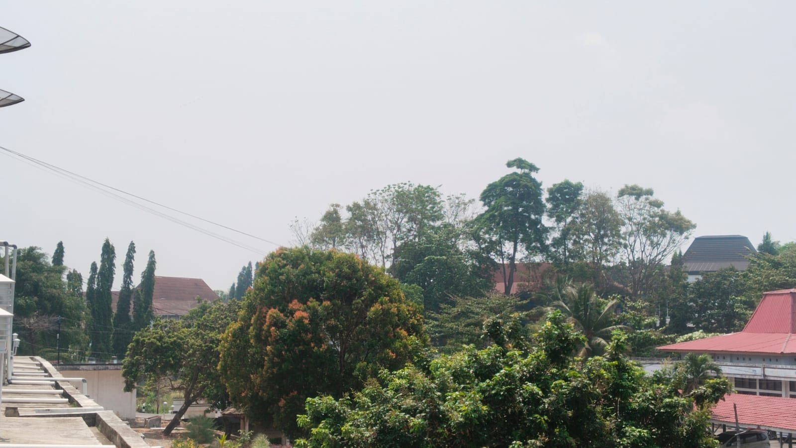 Penjelasan BMKG Tentang Kabut Asap Pagi Hari di Provinsi Bengkulu