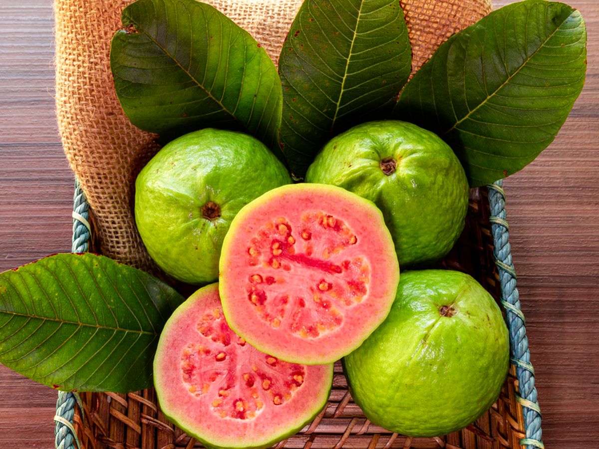 Jangan Asal Konsumsi, Ini Manfaat dan Efek Samping Jambu Biji Merah