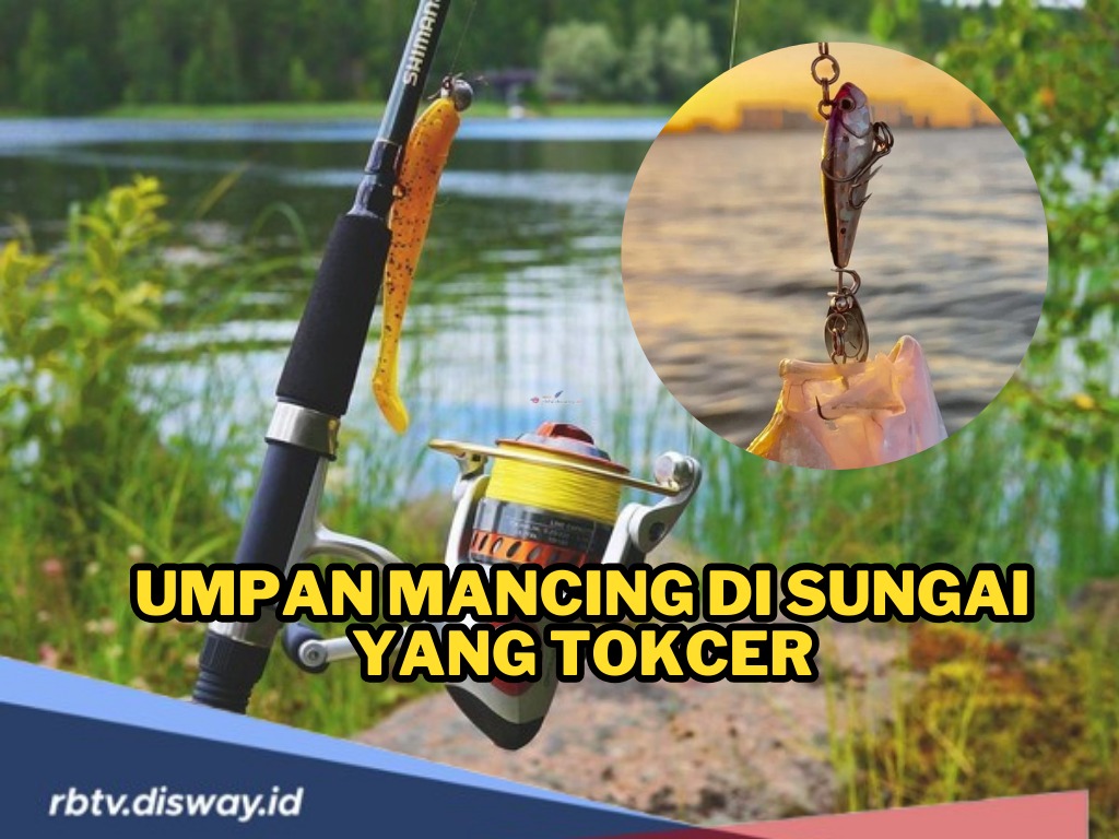 Ingin Hasil Pancingan Berlimpah? Ini Rekomendasi Umpan Mancing di Sungai yang Tokcer!