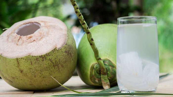 Bagi Pemilik Riwayat Sakit Ini Dilarang Keras Mengonsumsi Air Kelapa Muda, Bukan Sehat Malah Masuk Rumah Sakit