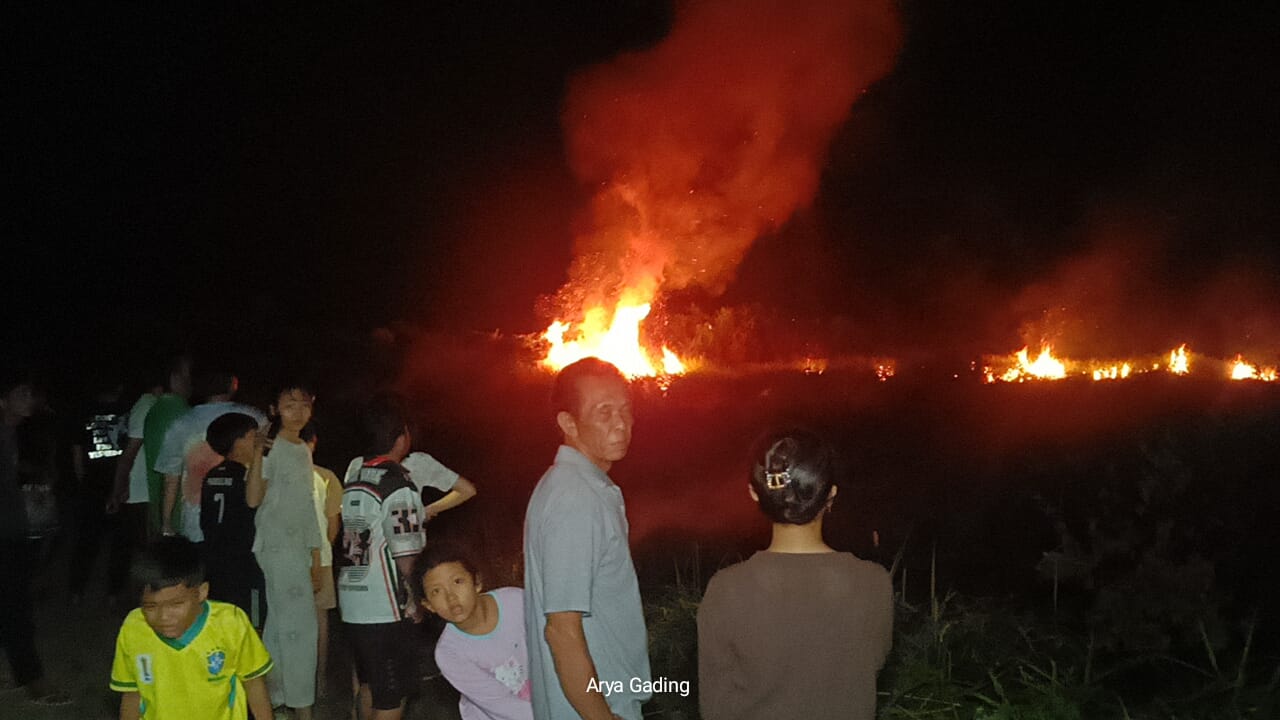 Heboh! Lahan Ilalang Dekat Pasar Sembayat Seluma Timur Terbakar