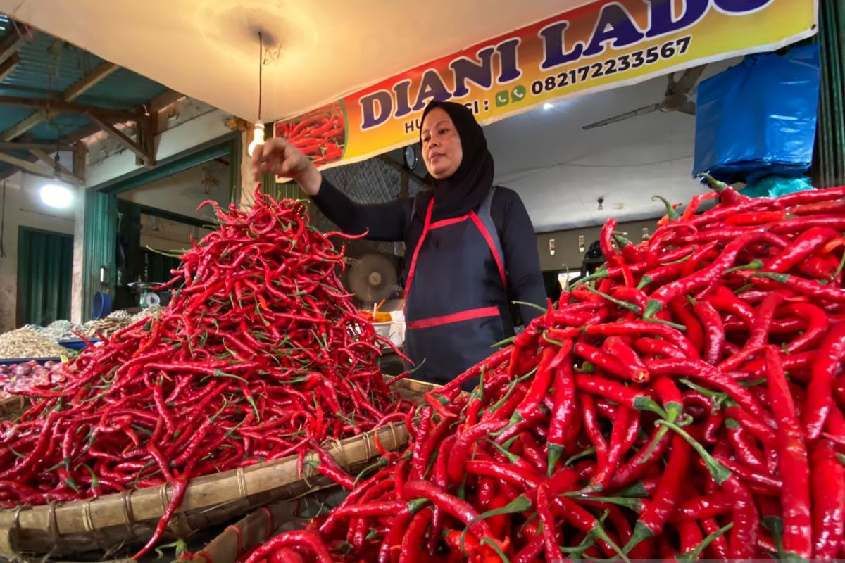 Harga Cabai Naik hingga Rp 100 Ribu per Kilogram, Ternyata Ini Penyebabnya