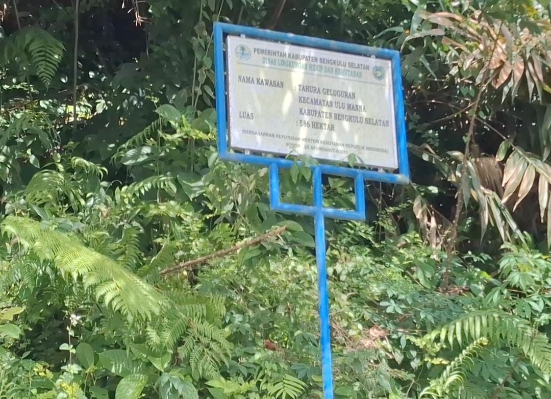 Di Bengkulu Selatan, Wilayah Ini Dilarang untuk Pembangunan Pabrik