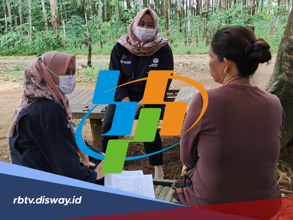 Bisakah Mitra Statistik BPS 2026 Perpanjang Kontrak Lagi? Begini Ketentuannya