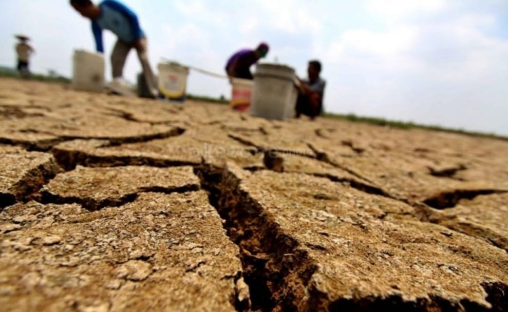 Ini Bahaya El Nino, Bulan Mei 2023 Ini Menghantam Ada 19 Provinsi 