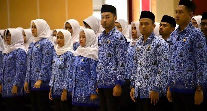 Apakah Fresh Graduate Bisa Daftar Seleksi PPPK 2024? Berikut Penjelasannya