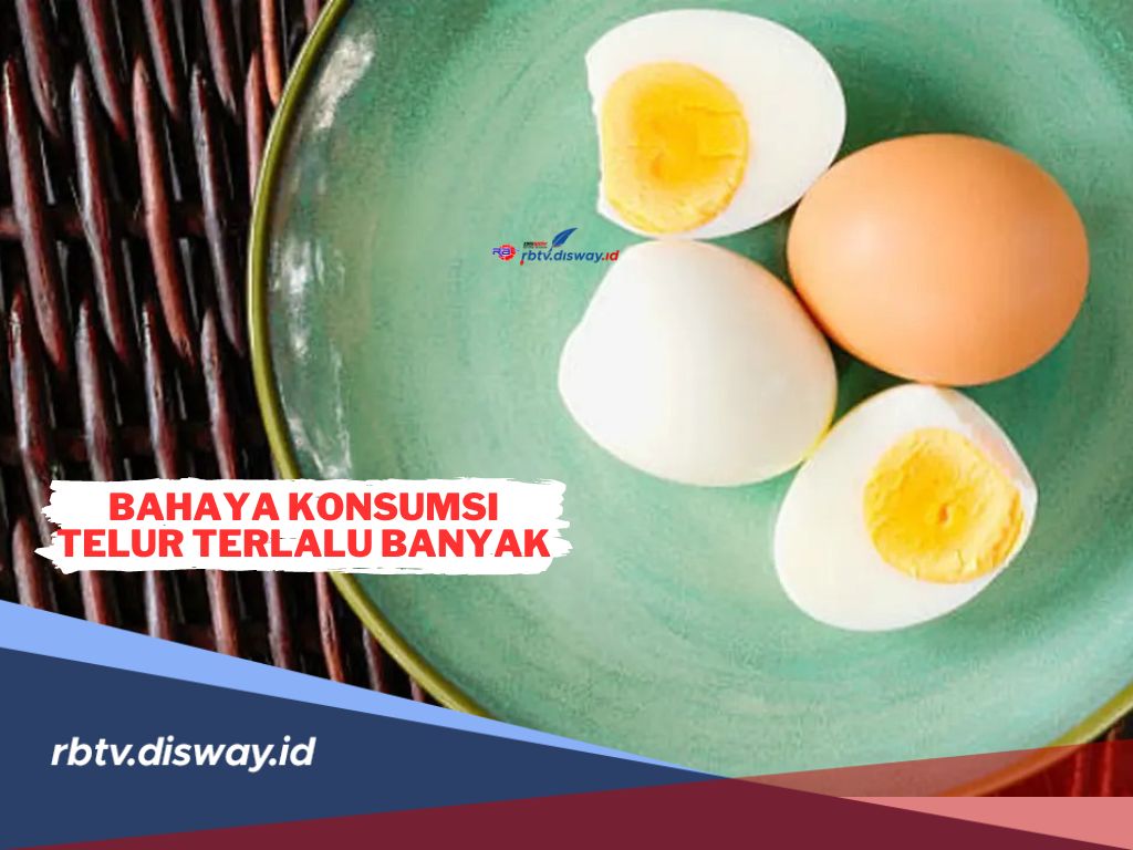 Ketahui, Ini Sederet Bahaya Konsumsi Telur Terlalu Banyak, Batasi Konsumsinya