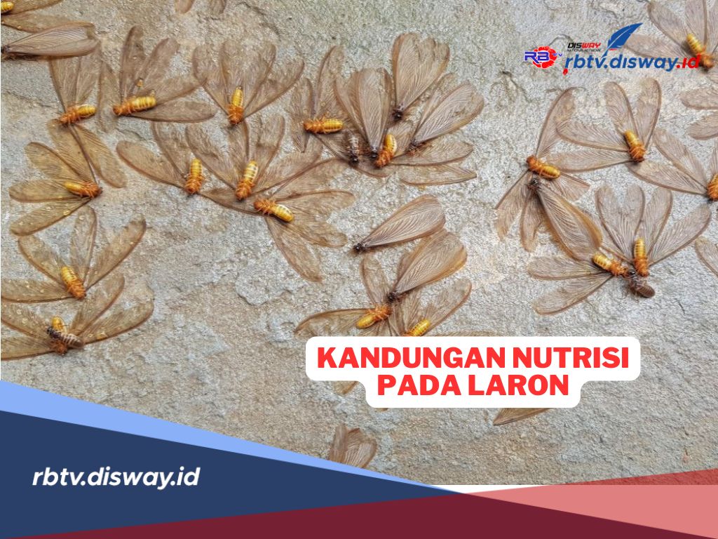 Siapa Sangka, Ternyata Laron Kaya Protein dengan Segudang Manfaat Kesehatan