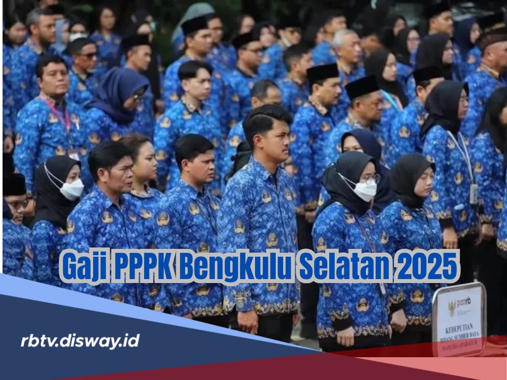 Bikin Penasaran Banyak Orang, Ini Rincian Gaji PPPK Penuh Waktu dan Paruh Waktu di Bengkulu Selatan