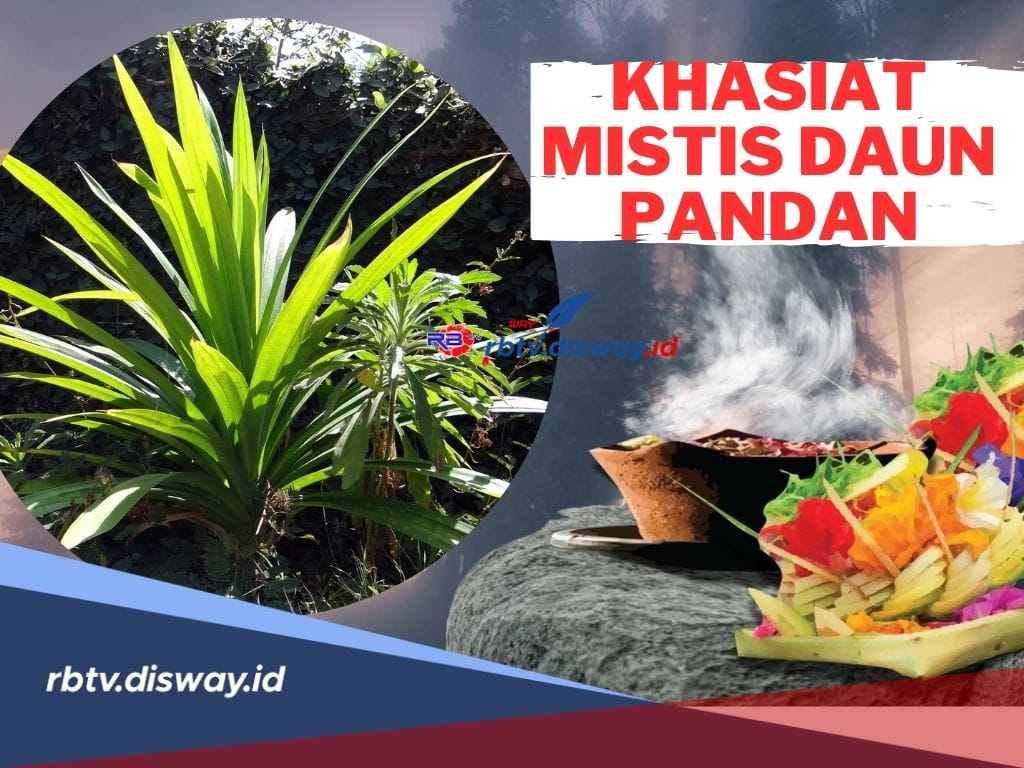 5 Khasiat Mistis Daun Pandan Menurut Primbon Jawa, Cukup Selipkan Dalam Dompet