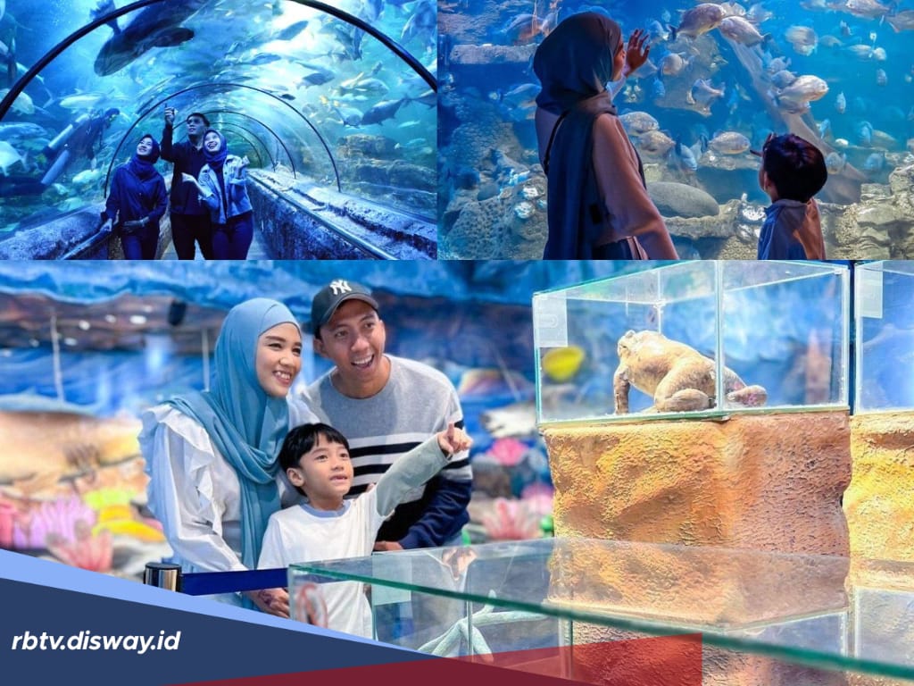 Promo Tiket  Sea World Ancol, Simak Promo Tiket Reguler dan Paketnya untuk Wisata Bersama Keluarga