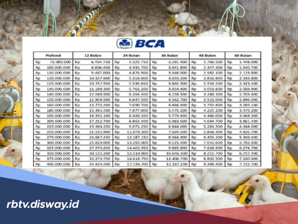 Cek di Sini, Tabel Angsuran Pinjaman KUR BCA Rp 150 Juta Cicilan Rp 2 Jutaan