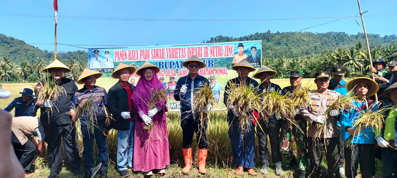 164 Ha Sawah di Kinal Mulai Panen, Bupati Kaur Optimis Atasi Masalah Stunting