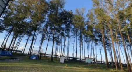 Pemkot Bengkulu Siapkan 20 Unit Gazebo Gratis untuk Pengunjung Pantai Panjang