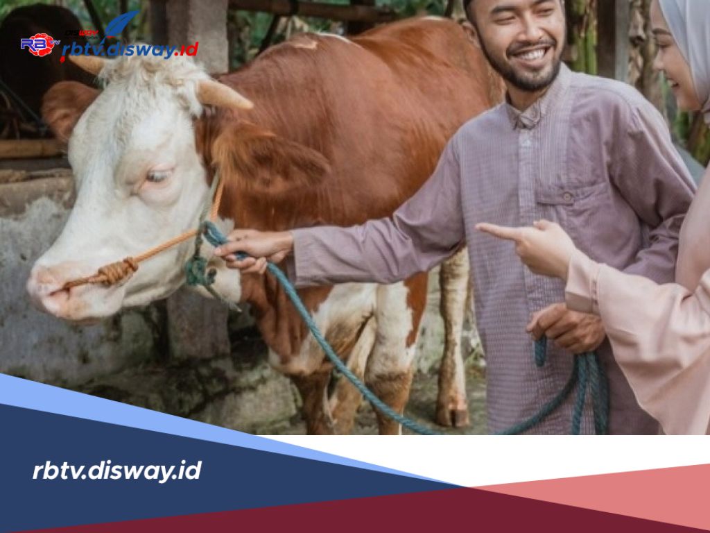 Ingin Berkurban Tapi Nggak Tahu Tujuannya untuk Apa? Simak Penjelasan Berikut