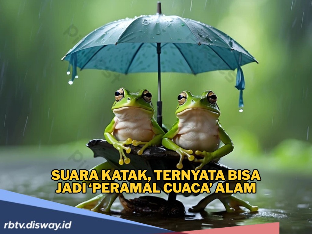 Ada Makna di Balik Suara Katak, Ternyata Bisa Jadi ‘Peramal Cuaca’ Alam yang Tak Pernah Salah