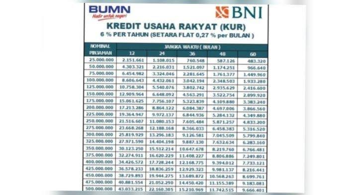 Strategi Sukses Pengajuan KUR BNI 2025 Plafon Rp 30 Juta Tanpa Ribet, Syaratnya Cuma Ini