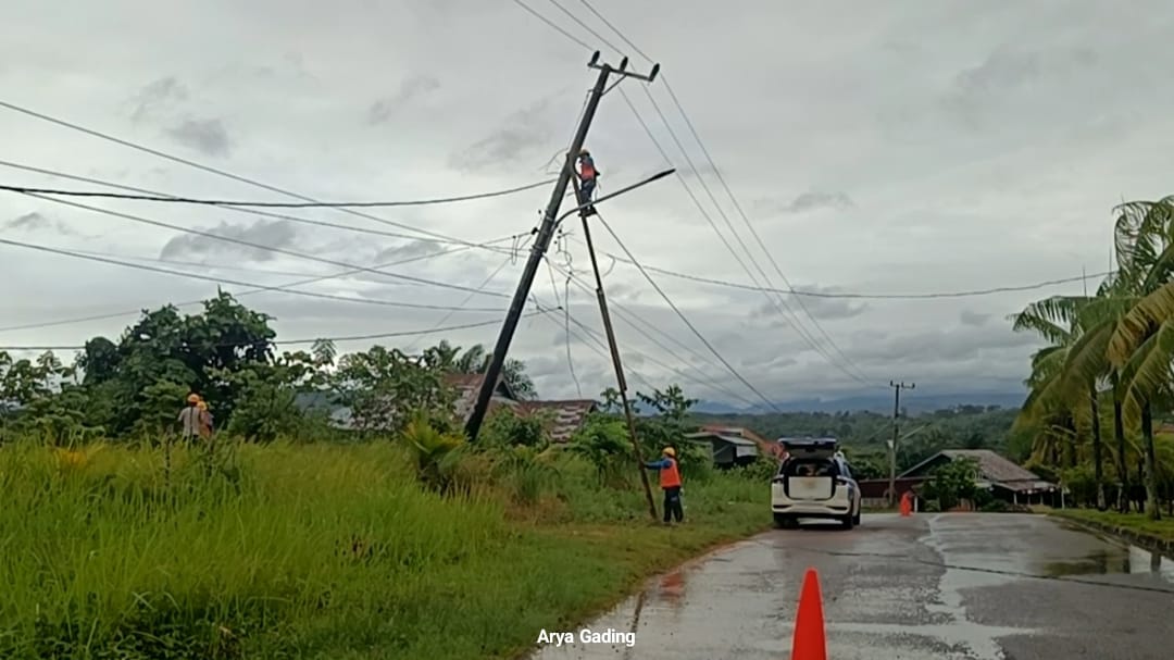 15 Tiang Listrik Roboh Akibat Angin Kencang di Seluma, ULP PLN Rayon Tais Lembur